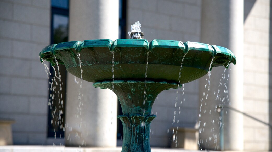 Pilgrim Hall Museum som viser fjell