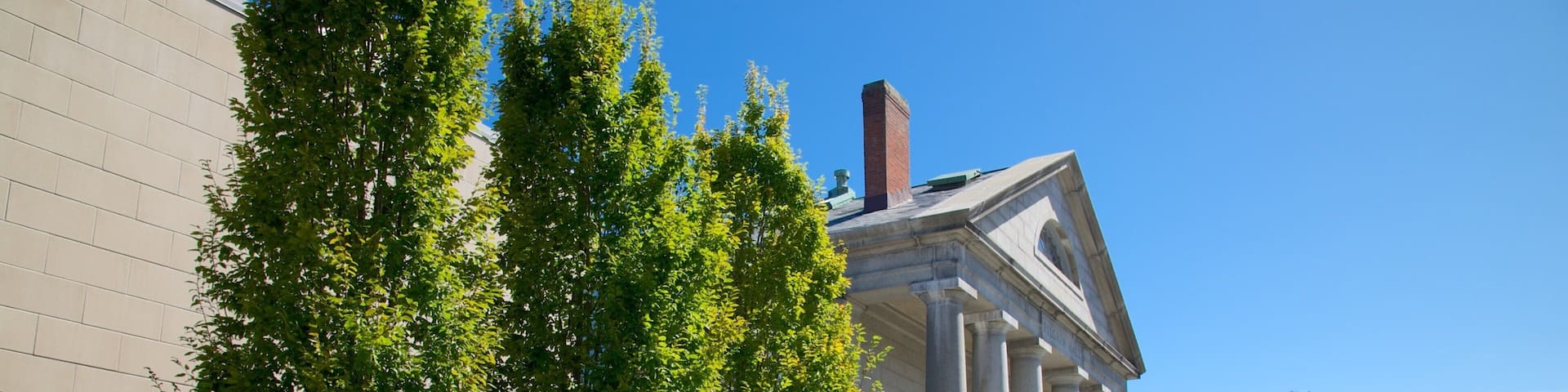 Pilgrim Hall Museum which includes flowers