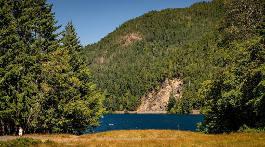 Crescent Beach which includes a lake or waterhole