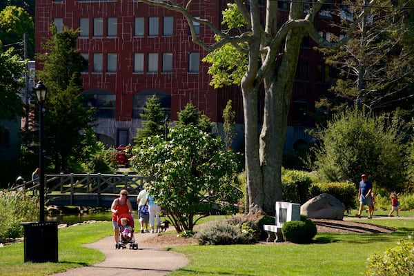 Brewster Gardens ofreciendo un jardín