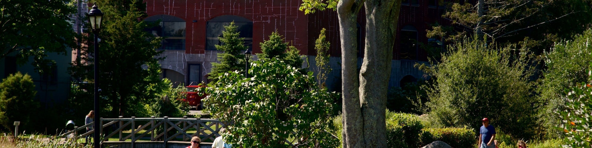 Brewster Gardens caracterizando um parque