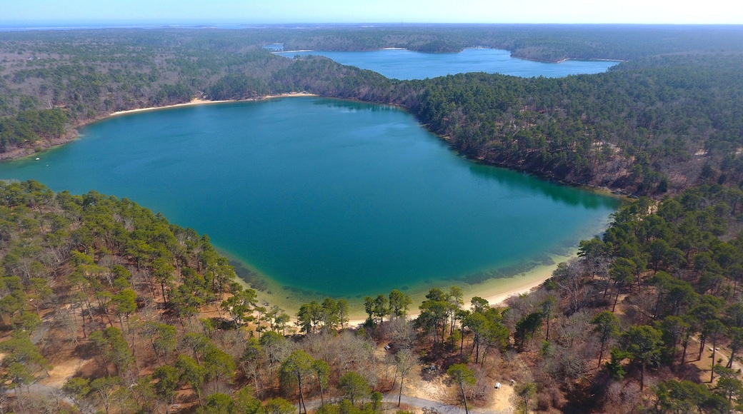 尼克森州立公園
