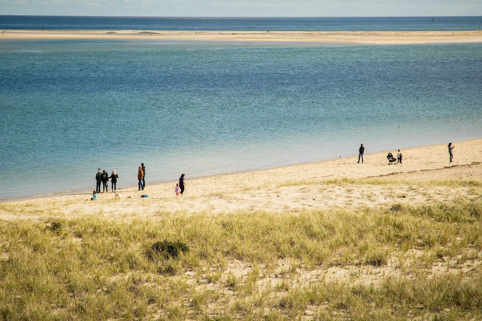 A beach with people walking and standing on the sand, and the ocean in the background.
