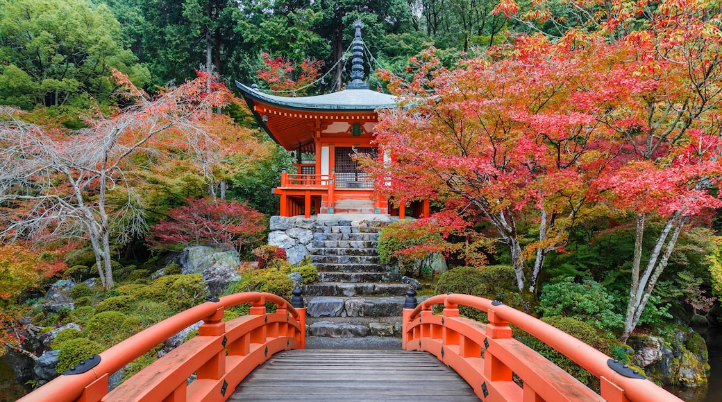 Daigoji Temple in Kyoto