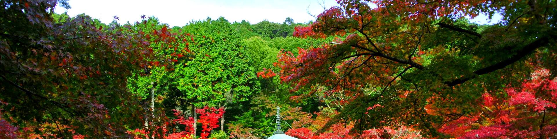 Kyoto, Japan, Shutterstock ID 739063396, Purchase Order: SP-1506 Go Guides, Order Number: , Client/Licensee: Faa Praharnpap, Other: Hcom budget