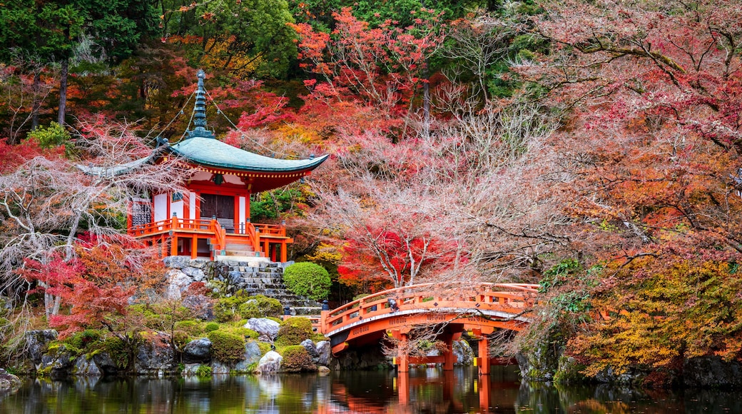 Daigoji Temple in Autumn, Kyoto, Japan