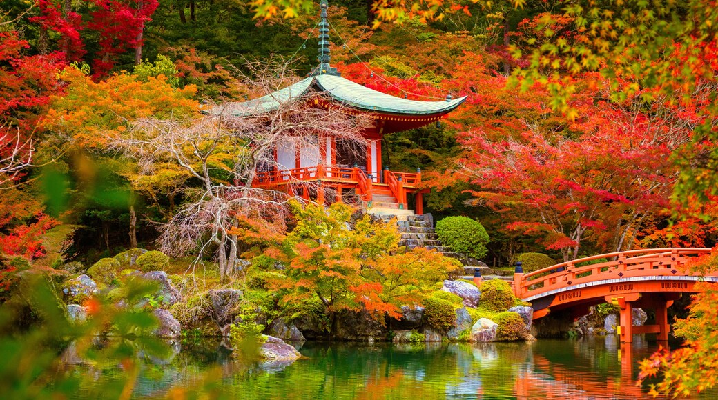 Daigo-ji temple with colorful maple trees in autumn, Kyoto, Japan