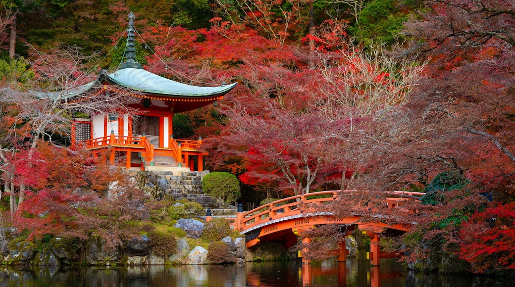 Beautiful view of Daigo-ji temple with red maple trees in autumn season in Kyoto, Japan