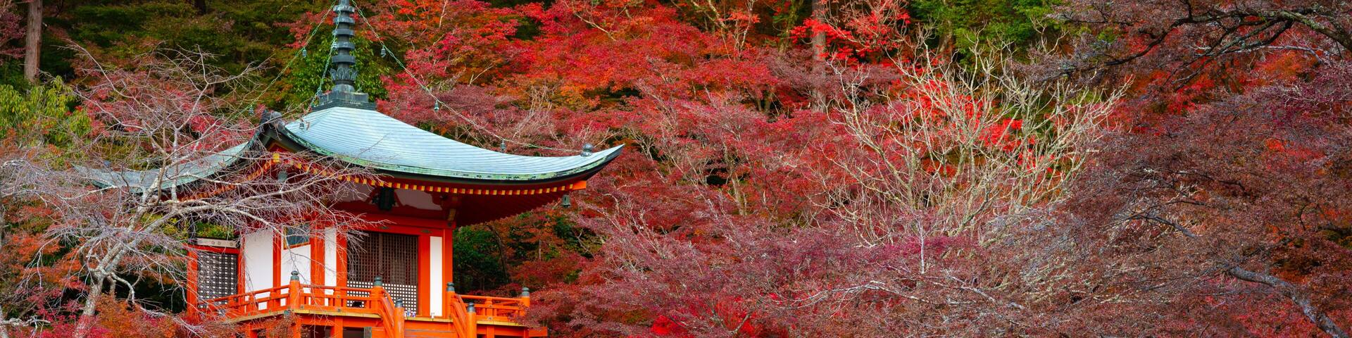 Beautiful view of Daigo-ji temple with red maple trees in autumn season in Kyoto, Japan