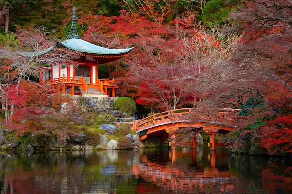 Beautiful view of Daigo-ji temple with red maple trees in autumn season in Kyoto, Japan