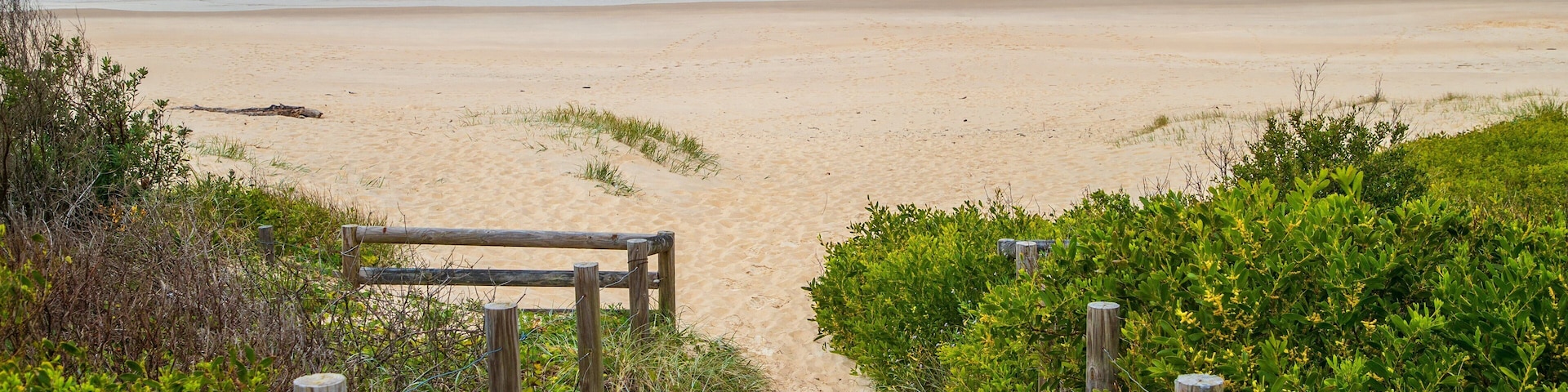 Tomaree National Park which includes a beach and general coastal views