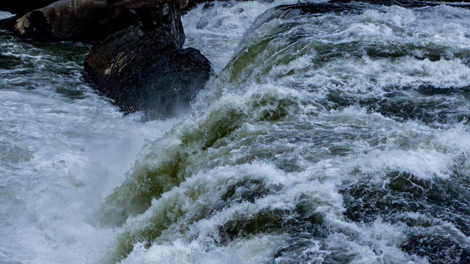 “Sometimes the future changes quickly and completely, and we’re left with only the choice of what to do next. We can choose to be afraid of it, to stand there trembling not moving, assuming the worst that can happen or we step forward into the unknown and assume it will be brilliant.”
