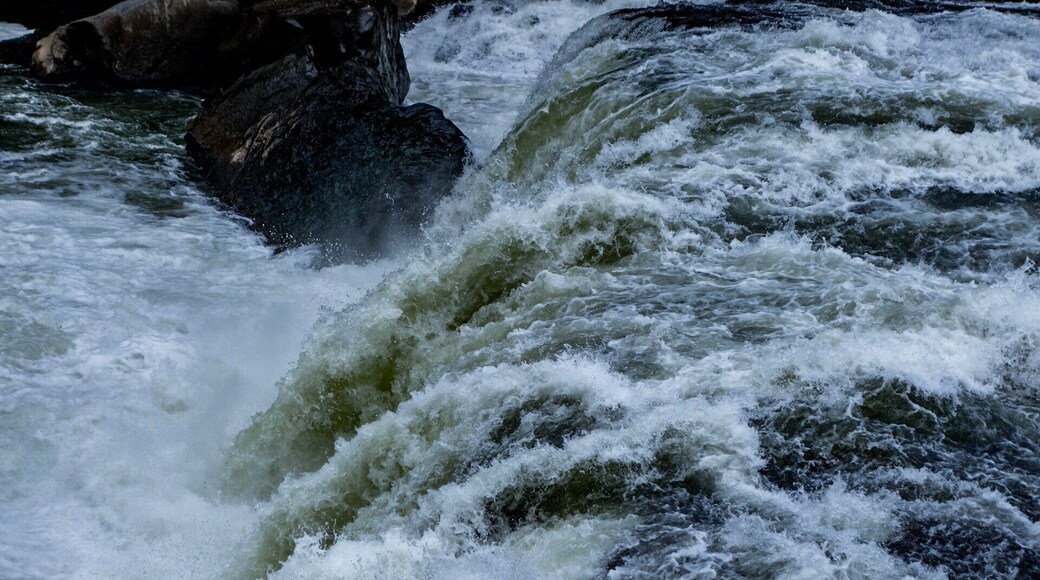 “Sometimes the future changes quickly and completely, and we’re left with only the choice of what to do next. We can choose to be afraid of it, to stand there trembling not moving, assuming the worst that can happen or we step forward into the unknown and assume it will be brilliant.”