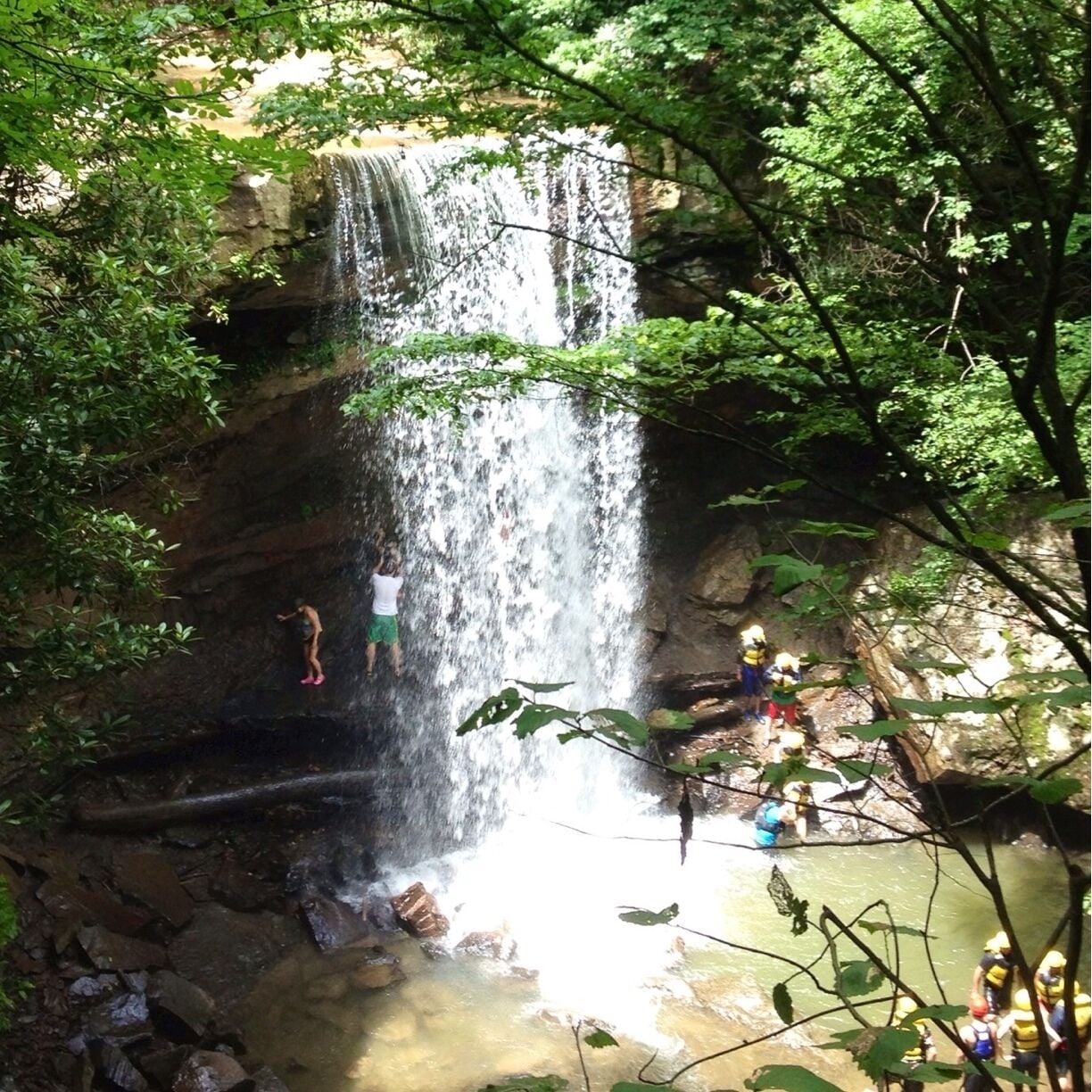 A waterfall cascading down a rocky cliff surrounded by lush greenery.