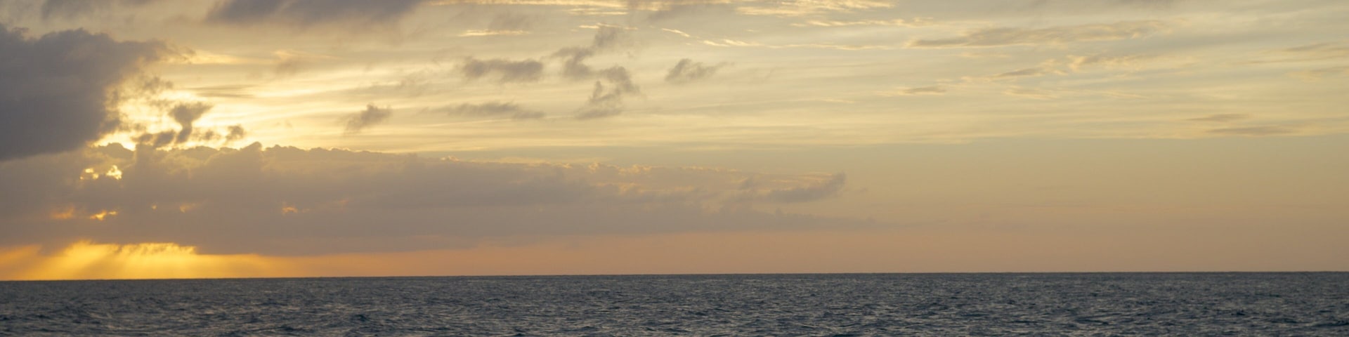 Race Point Beach featuring a beach, a sunset and general coastal views