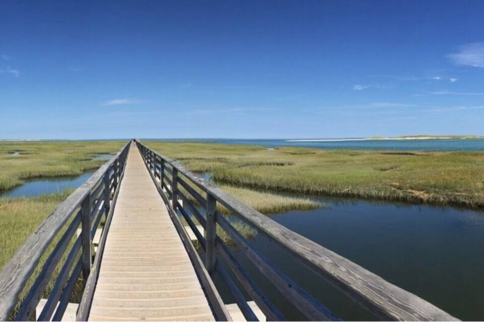 Una passera de fusta sobre una zona humida amb aigua a ambdós costats, que condueix a un cos d'aigua amb barques.