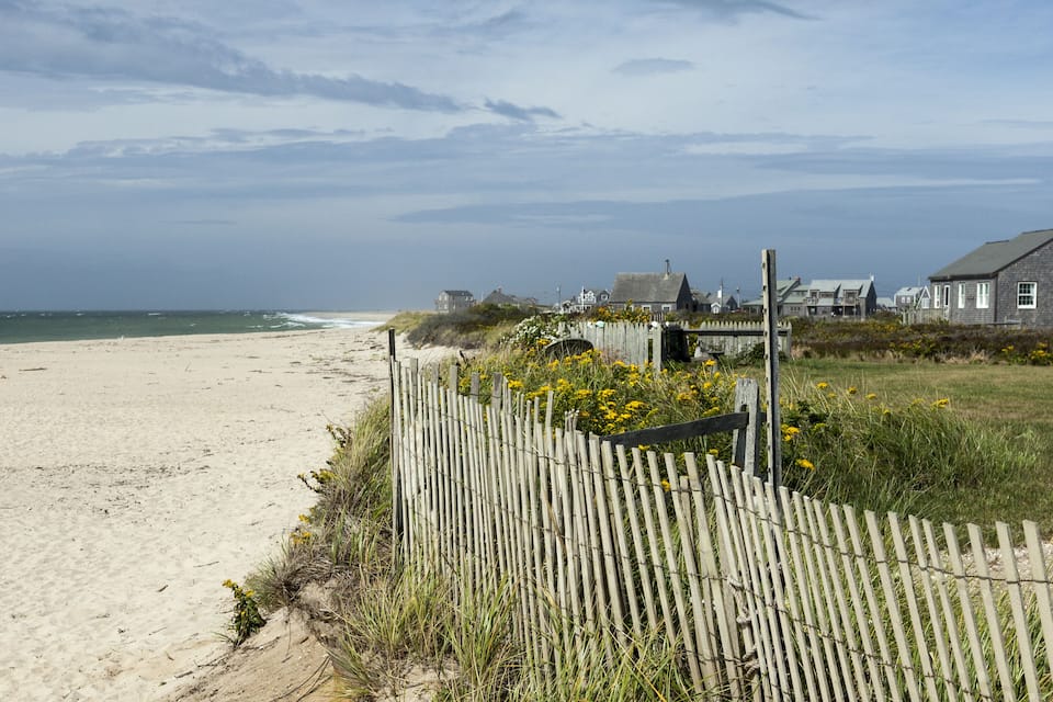 A sandy beach with a wooden fence, houses, and a grassy area with yellow flowers.