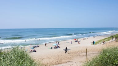 A beach with people, umbrellas, and surfboards.
