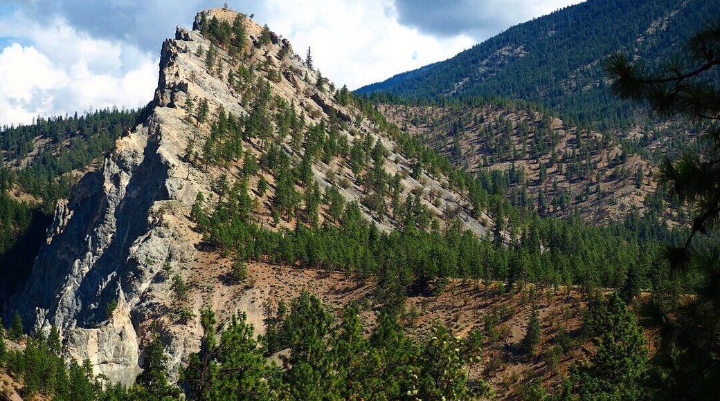 Surprise desert and mountain landscapes meet
