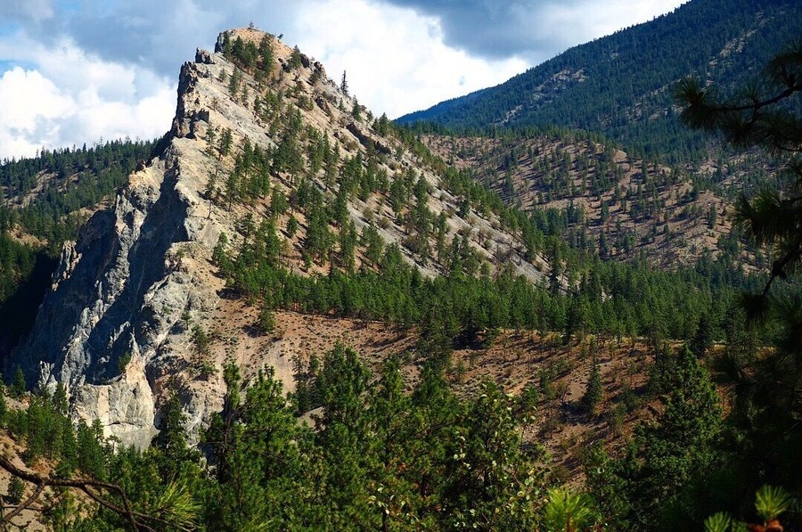 Surprise desert and mountain landscapes meet