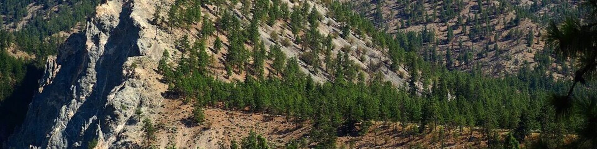 Surprise desert and mountain landscapes meet