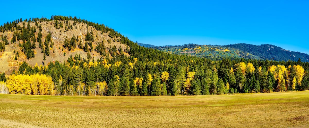 A mountainous landscape with a grassy field in the foreground and dense forests with autumn foliage.