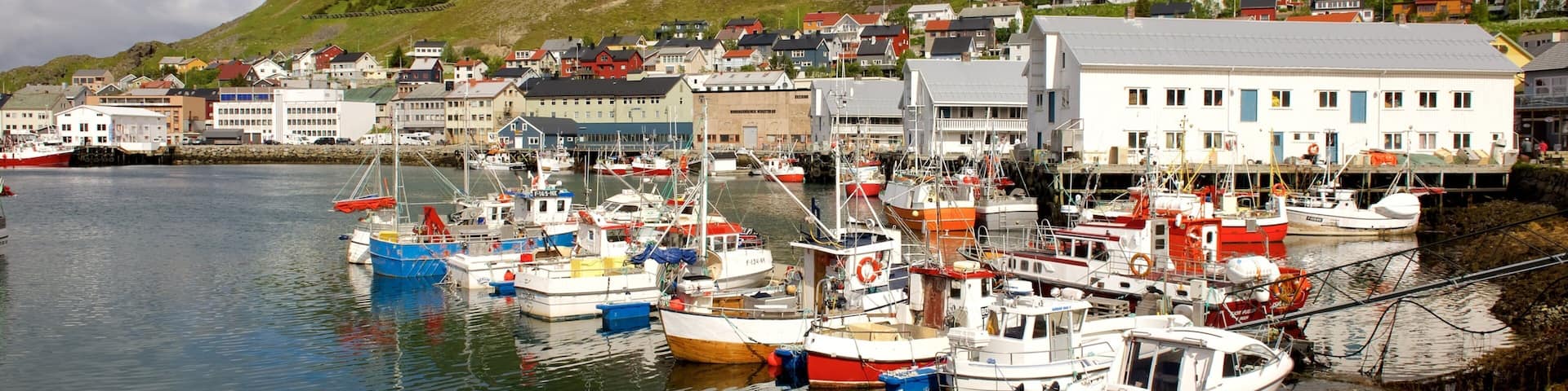 A harbor with boats, buildings, and a mountain in the background.