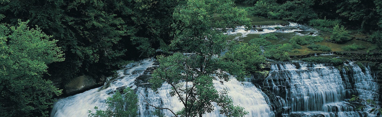 Una cascada que se precipita a través de un bosque frondoso.