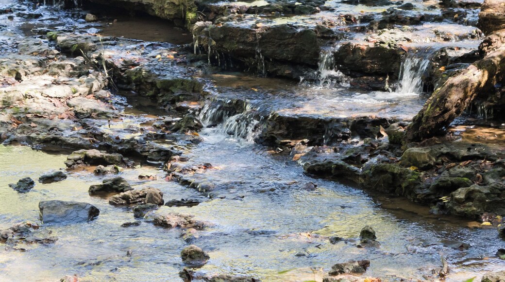 Learn how to visit Burgess Falls State Park. Read my full hiking guide here: https://thewalkingmermaid.com/blog/burgess-falls-state-park-tennessee