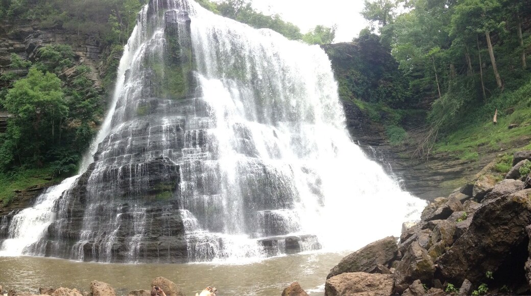 Short and sweet hike with huge payoffs. The extra effort to the bottom of the falls is well worth it. #hiking