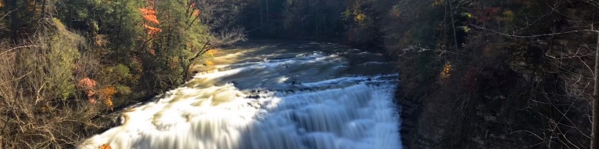 A waterfall in a forest with autumn foliage.