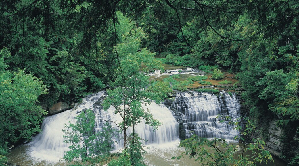 Parque Estatal de Burgess Falls