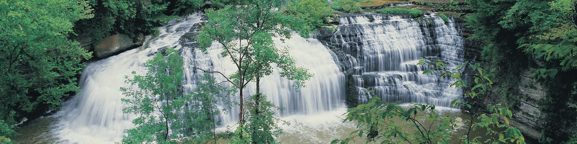 Una cascada rodeada de un bosque frondoso.