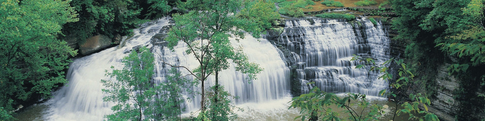 Una cascada rodeada de un bosque frondoso.
