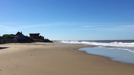 Siempre un placer vernos...