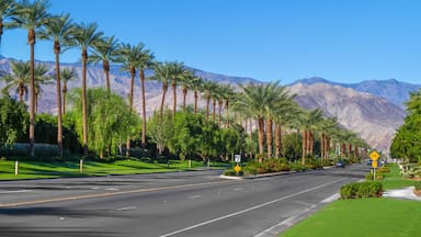 Palm trees line the landscape on California Highway 111 in the city of Indian Wells in the Coachella Valley