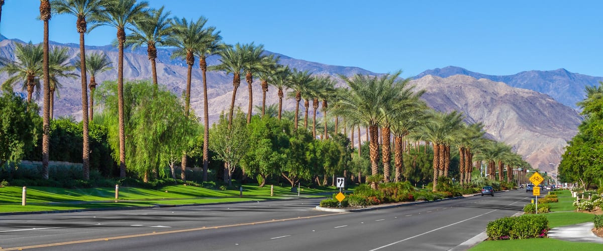 A road lined with palm trees and mountains in the background.