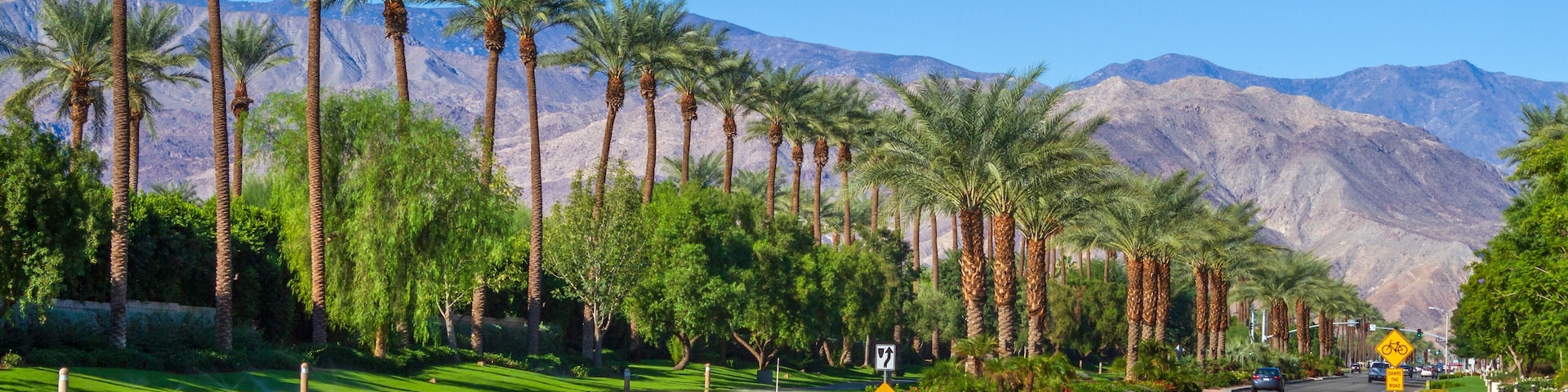 A road lined with palm trees and mountains in the background.