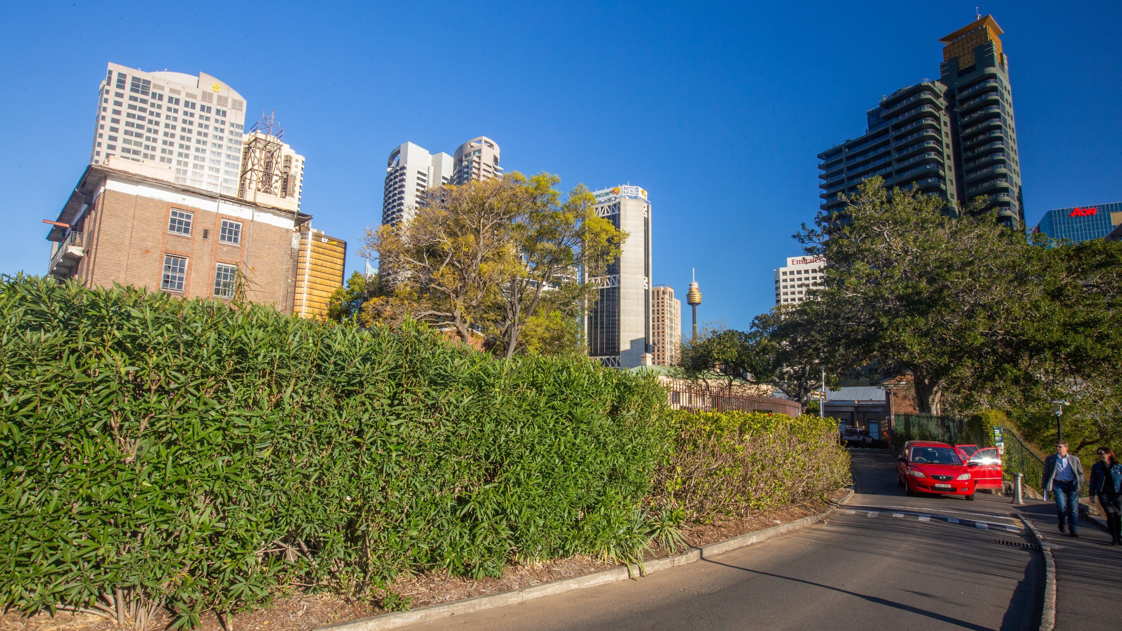 Barangaroo featuring a city