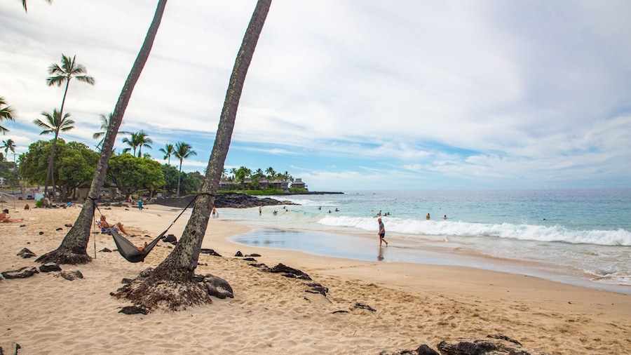 Magic Sands Beach which includes general coastal views, a beach and tropical scenes