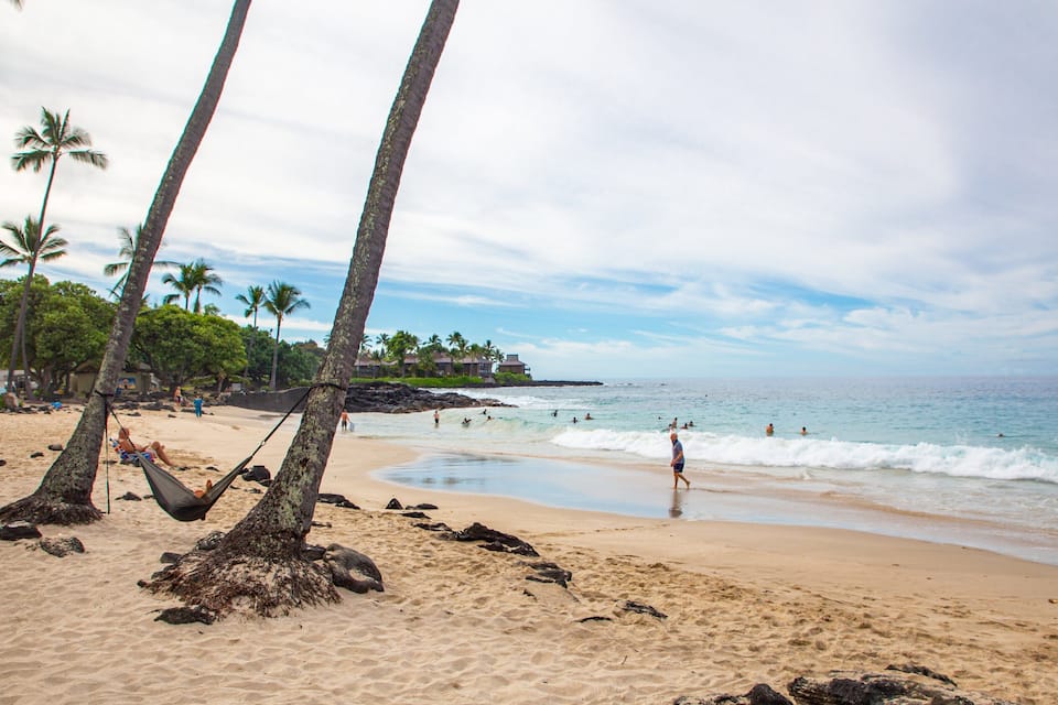 A sandy beach with palm trees, ocean waves, and a few people.