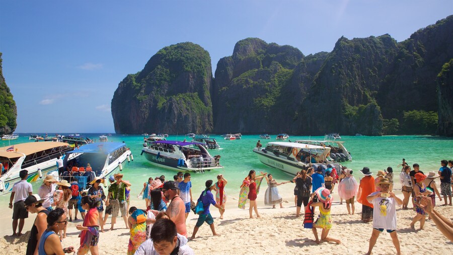 Maya Bay showing tropical scenes, boating and general coastal views