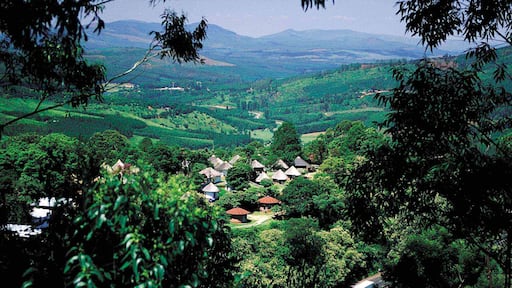 Magoebaskloof som inkluderer landskap, fjell og liten by eller landsby