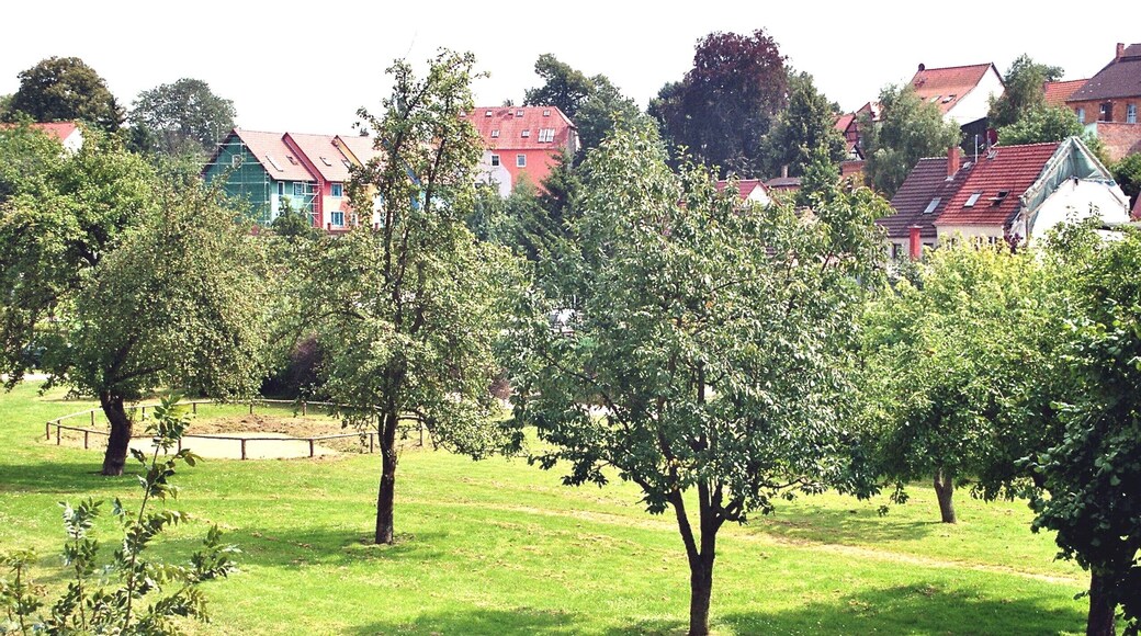 Penzlin, meadow with scattered fruit trees