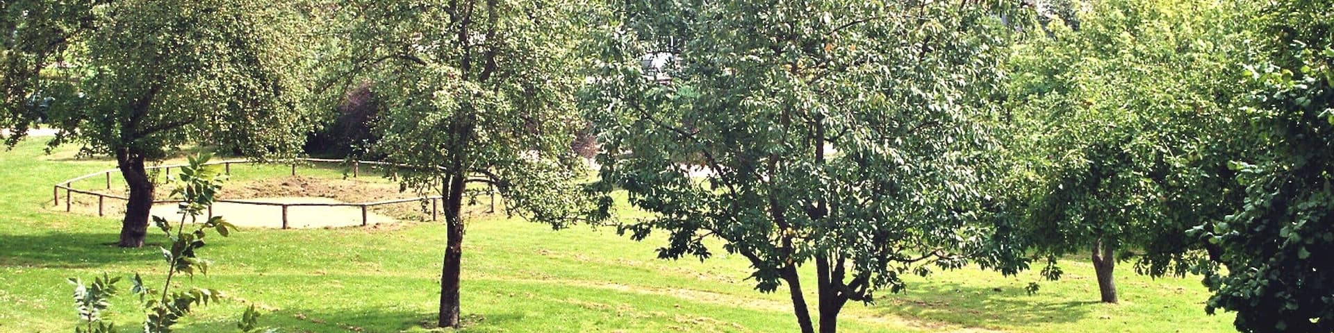 Penzlin, meadow with scattered fruit trees