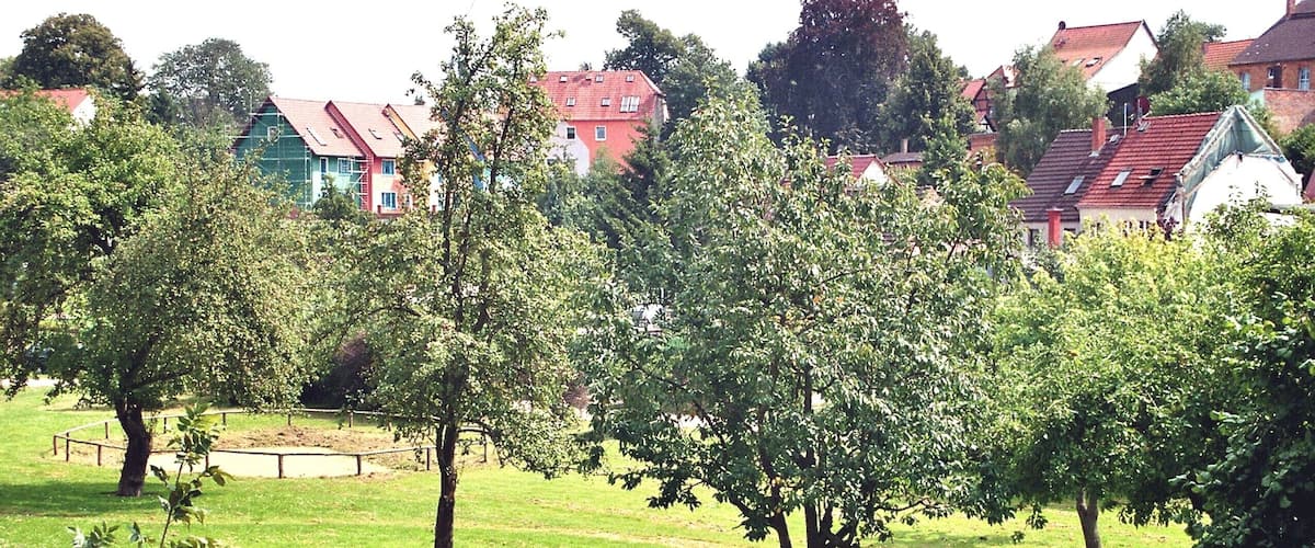 A park with green grass, trees, and houses with red roofs in the background.