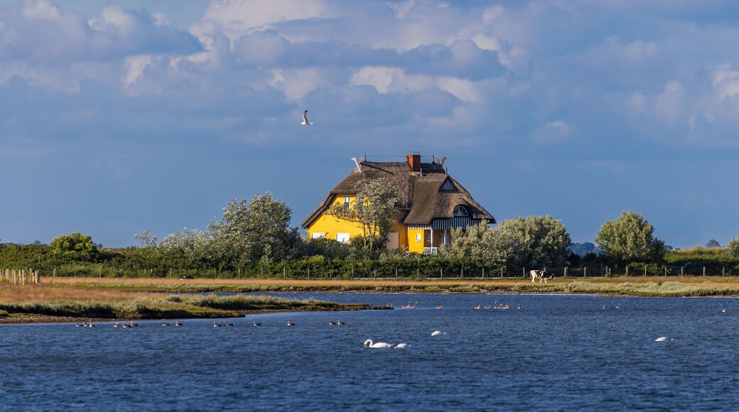 ํ์ผ๋ฆฌ๊ฒํํ