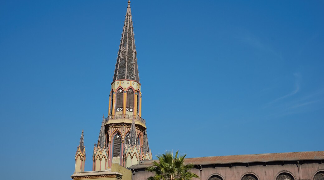 ๋ฐ๋ฆฌ์ค ๋ธ๋ผ์ง