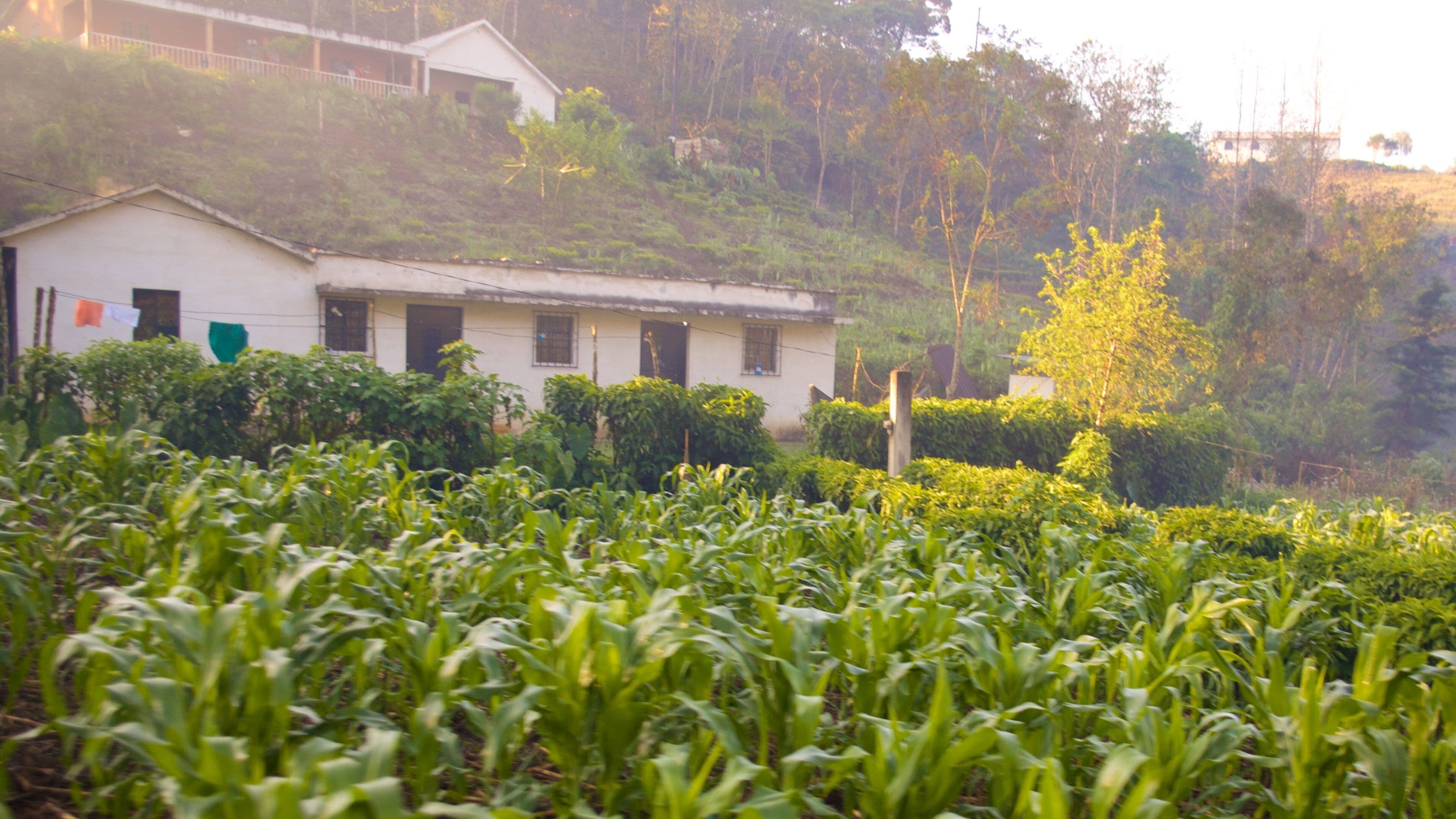 Coban which includes farmland