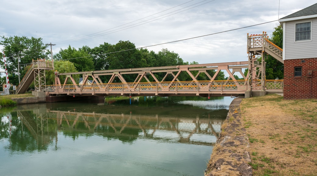 Lockport Locks and Erie Canal Tours